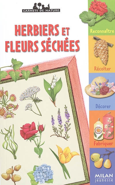 Herbiers et fleurs séchées - 