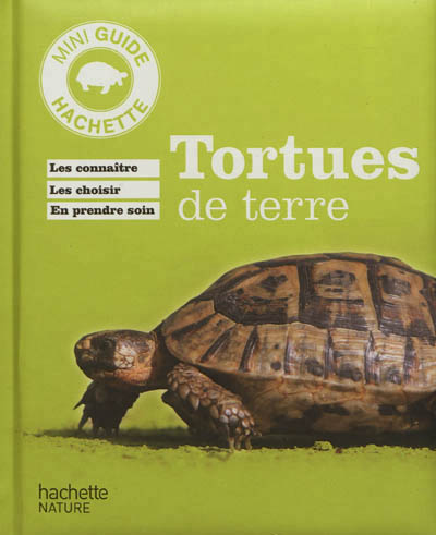 Tortues de terre - 