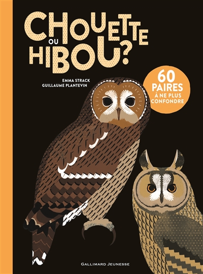 Chouette ou hibou ? - 