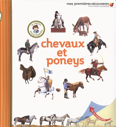 Chevaux et poneys - 