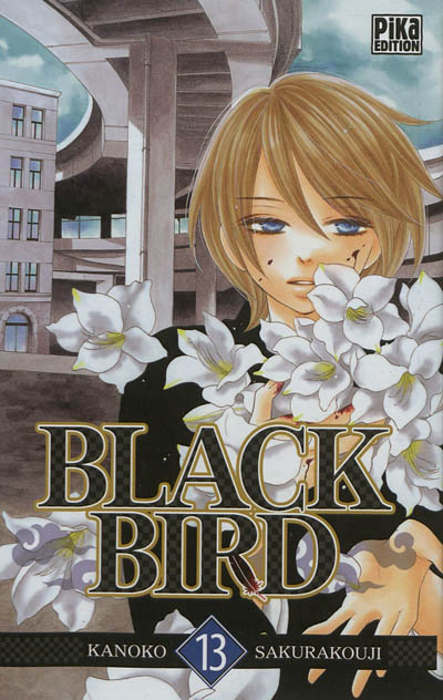 Black bird - 