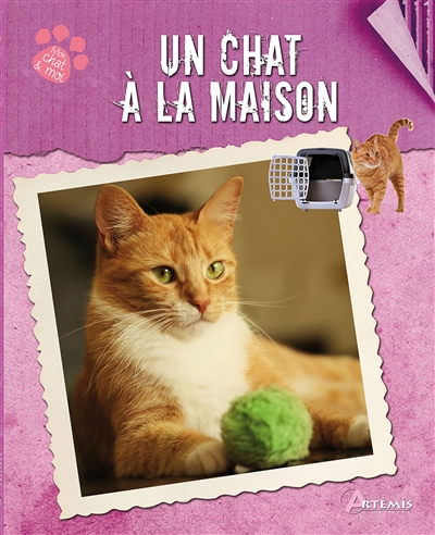 chat à la maison (Un) - 