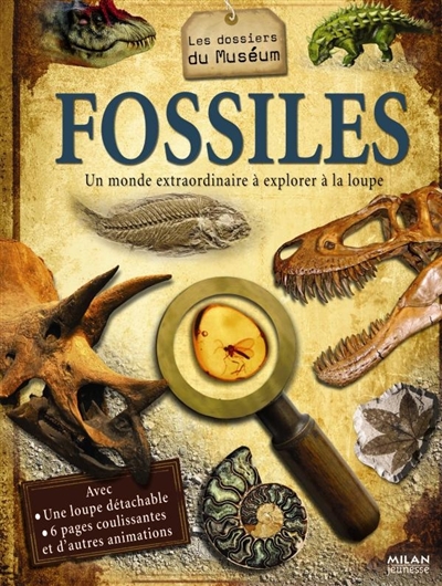 Fossiles - 