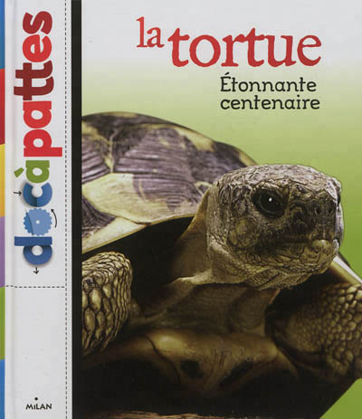 tortue (La) - 