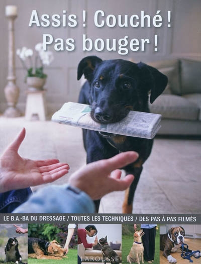 Assis ! Couché ! Pas bouger ! - 