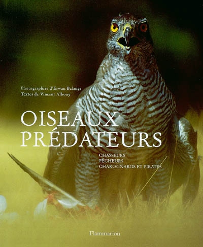 Oiseaux prédateurs - 