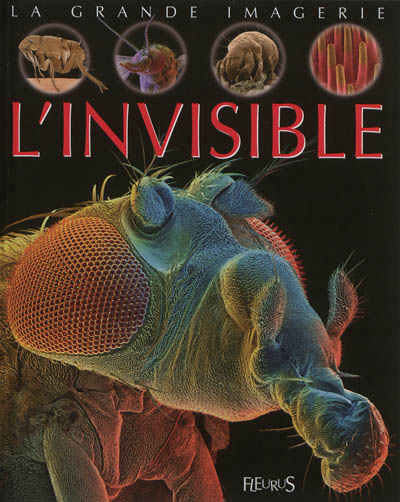 invisible (L') - 