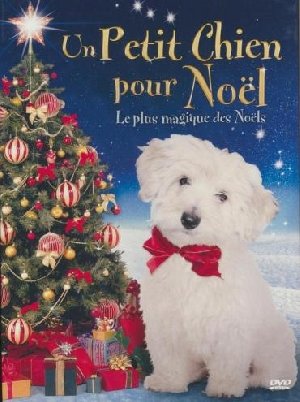 Un petit chien pour Noël - 