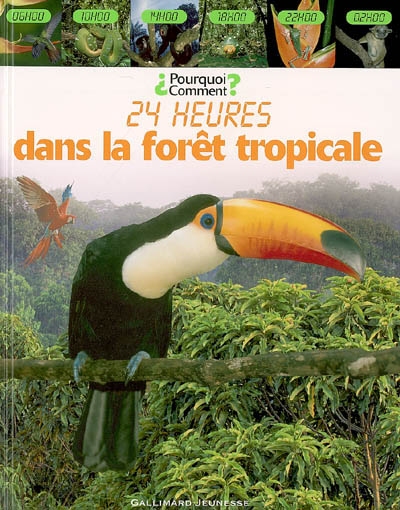 24 heures dans la forêt tropicale - 