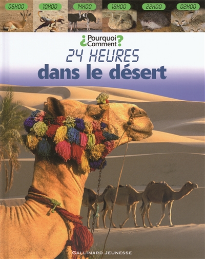 24 heures dans le désert - 