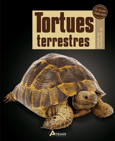 Tortues terrestres - 