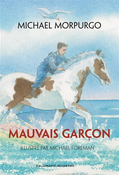 Mauvais garçon - 