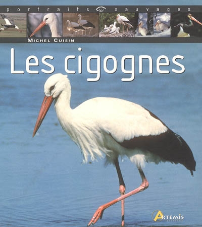 cigognes (Les ) - 