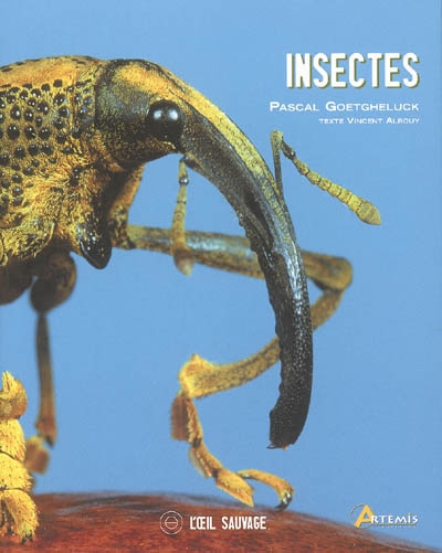 Insectes - 