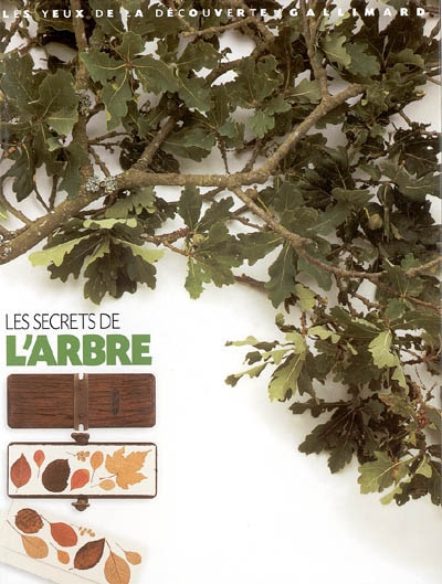 secrets de l'arbre (Les ) - 