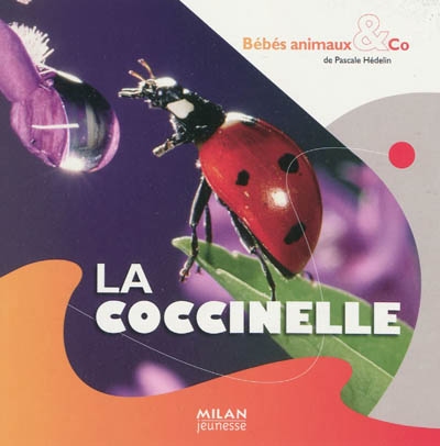 coccinelle (La) - 