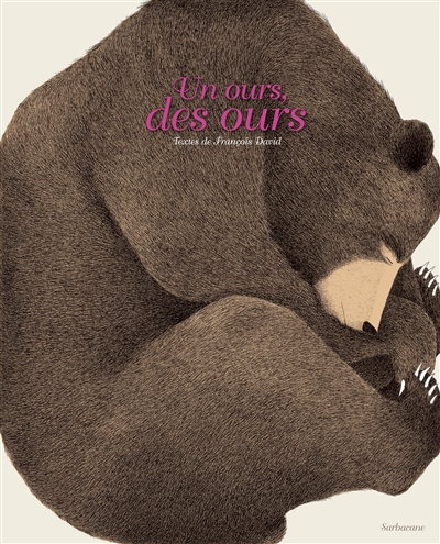 Un ours, des ours - 