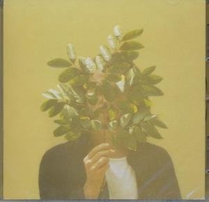 French Kiwi Juice - 