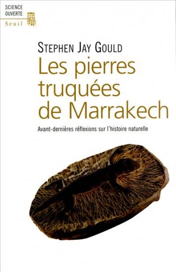 pierres truquées de Marrakech (Les ) - 