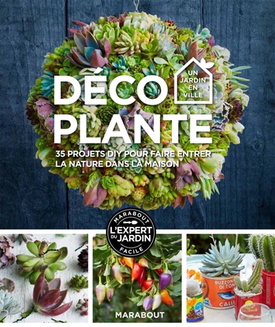 Déco plante - 