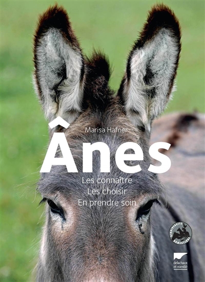 Anes - 