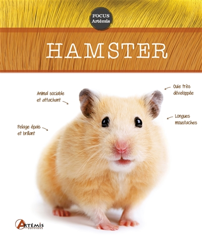 Hamster - 