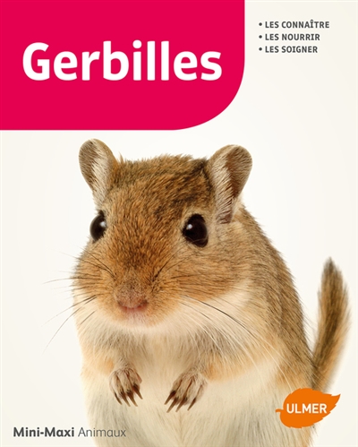 Gerbilles - 