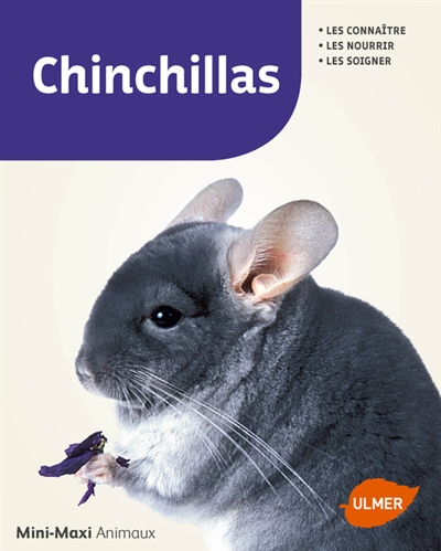 Chinchillas - 