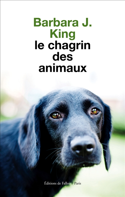 chagrin des animaux (Le) - 