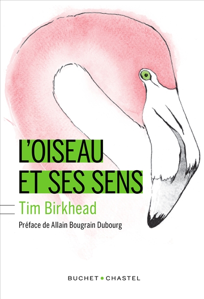 oiseau et ses sens (L') - 