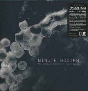 Minute bodies - 
