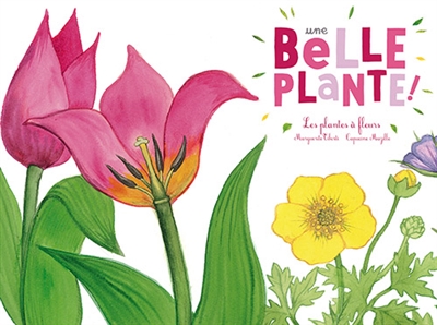 Une belle plante ! - 