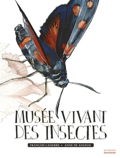 Musée vivant des insectes - 