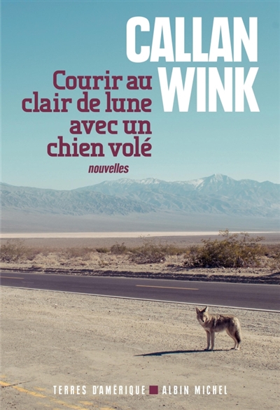 Courir au clair de lune avec un chien volé - 