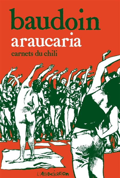 Araucaria - 