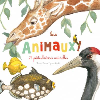 Les animaux ! - 