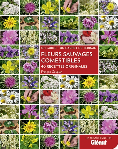 Fleurs sauvages comestibles - 