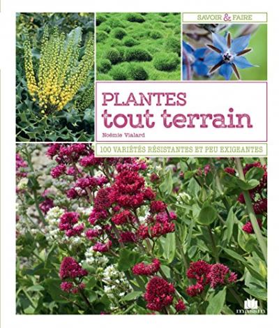 Plantes tout terrain - 