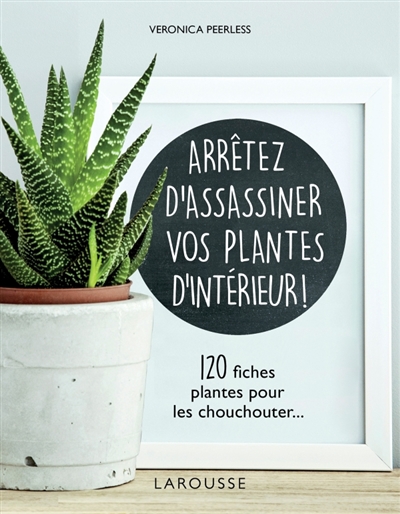 Arrêtez d'assassiner vos plantes d'intérieur ! - 