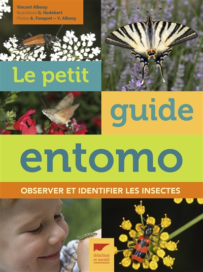 Le petit guide entomo - 