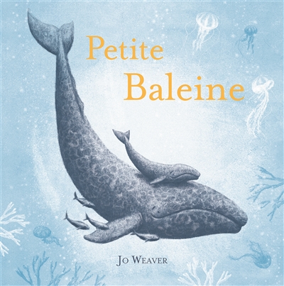 Petite Baleine - 