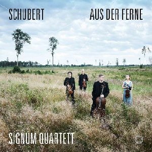 Aus der ferne - 