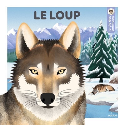 Le loup - 