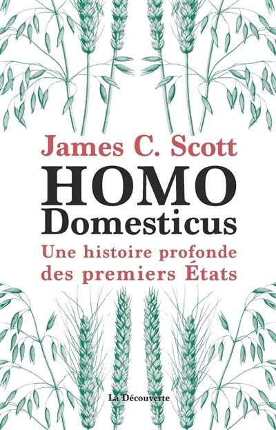 Homo domesticus - 