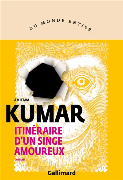 Itinéraire d'un singe amoureux - 