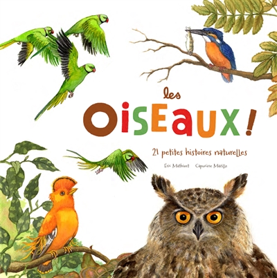 Les oiseaux ! - 