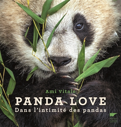 Panda love - 