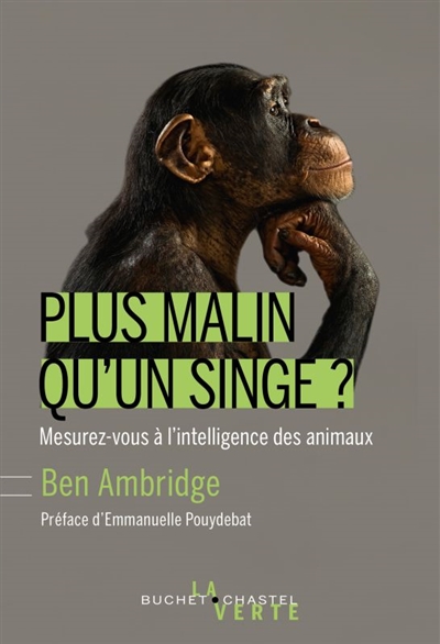 Plus malin qu'un singe ? - 