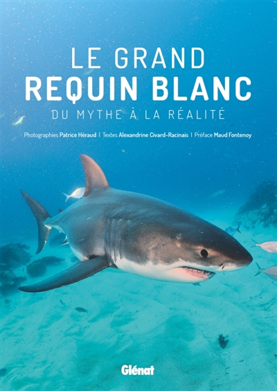 Le grand requin blanc - 