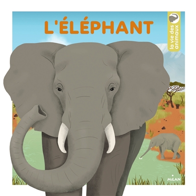 L'éléphant - 